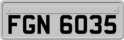 FGN6035