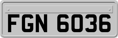 FGN6036