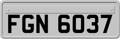 FGN6037