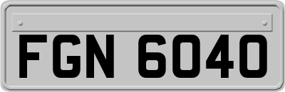 FGN6040