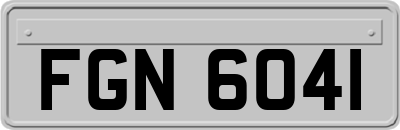 FGN6041
