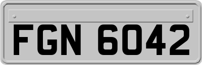 FGN6042