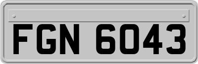 FGN6043