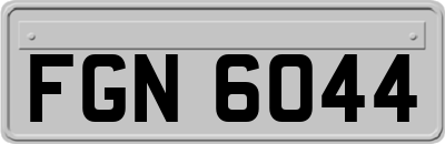 FGN6044