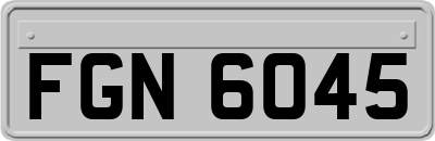 FGN6045
