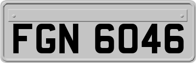 FGN6046