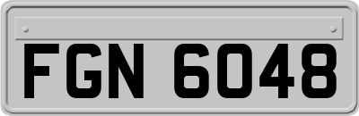 FGN6048