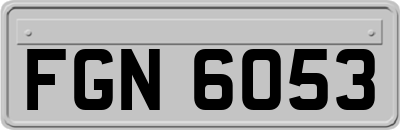 FGN6053
