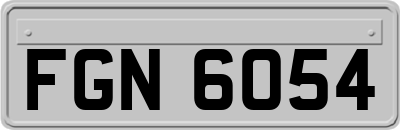 FGN6054