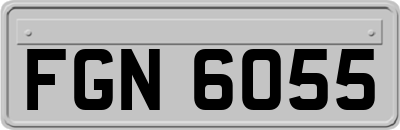 FGN6055