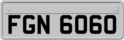 FGN6060