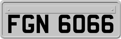FGN6066