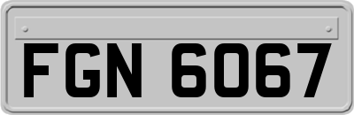 FGN6067
