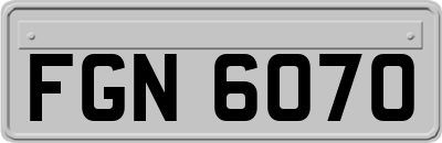 FGN6070