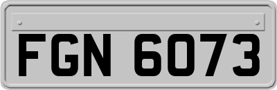 FGN6073