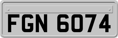 FGN6074
