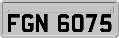FGN6075
