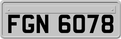 FGN6078