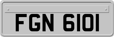 FGN6101