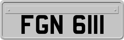 FGN6111