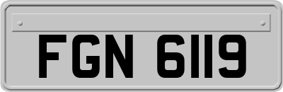 FGN6119