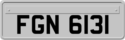FGN6131