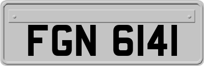 FGN6141