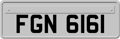 FGN6161