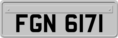 FGN6171