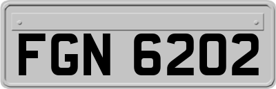 FGN6202