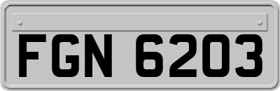 FGN6203