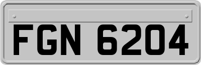 FGN6204