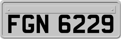 FGN6229