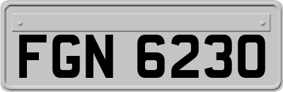 FGN6230