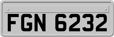 FGN6232