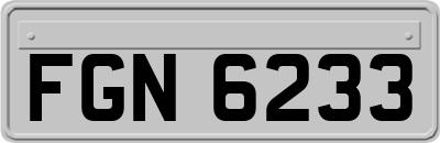 FGN6233