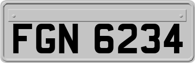 FGN6234