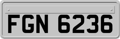 FGN6236