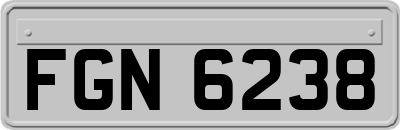 FGN6238