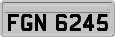 FGN6245