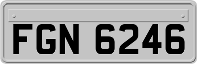 FGN6246