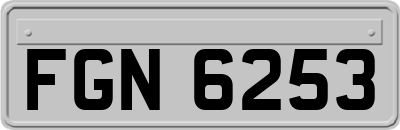 FGN6253