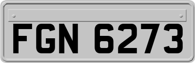 FGN6273