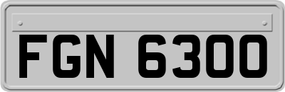 FGN6300