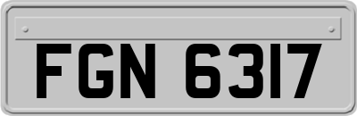 FGN6317