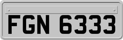 FGN6333