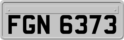 FGN6373