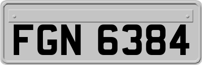 FGN6384