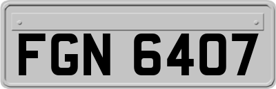 FGN6407