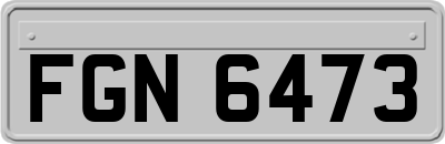 FGN6473
